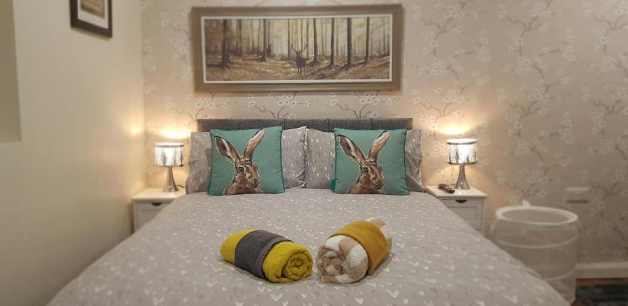 The Musical Ceol Cottage 1-Bedroom - Sleeps Four Ballynahinch Ngoại thất bức ảnh